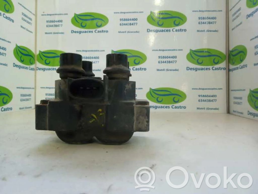 High voltage ignition coil   L1E
