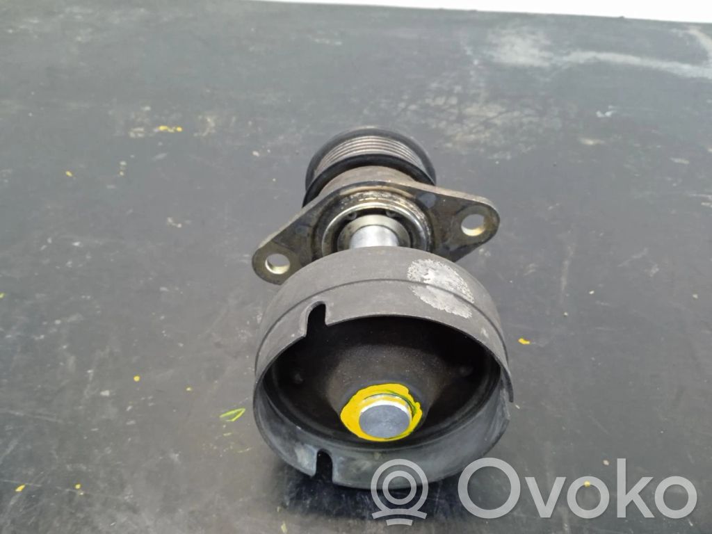 Generatoriaus skriemulys   C9DB