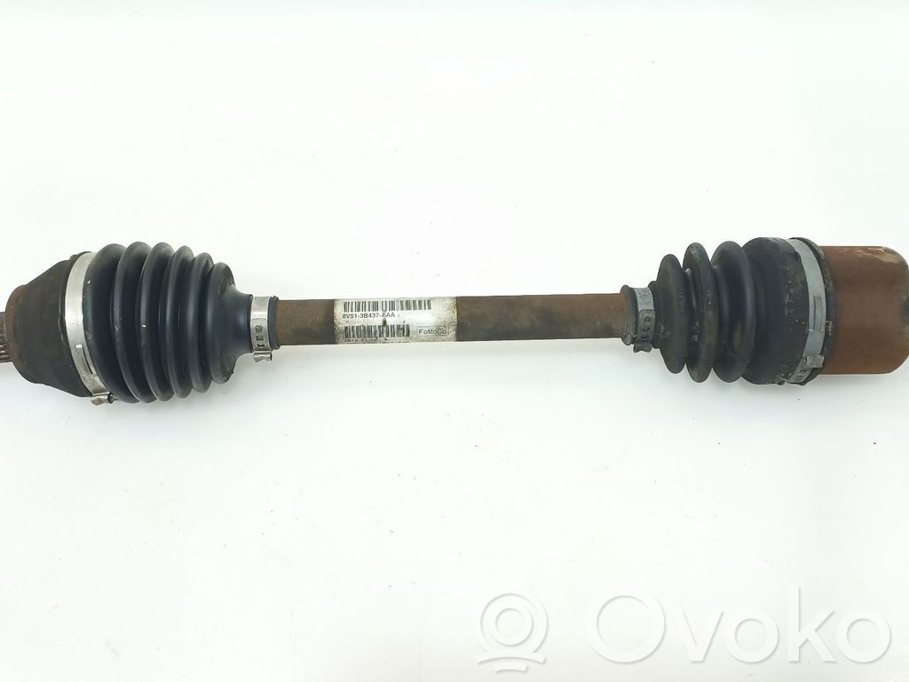 Eje de transmisión delantero   2002895,8V513B437AAA