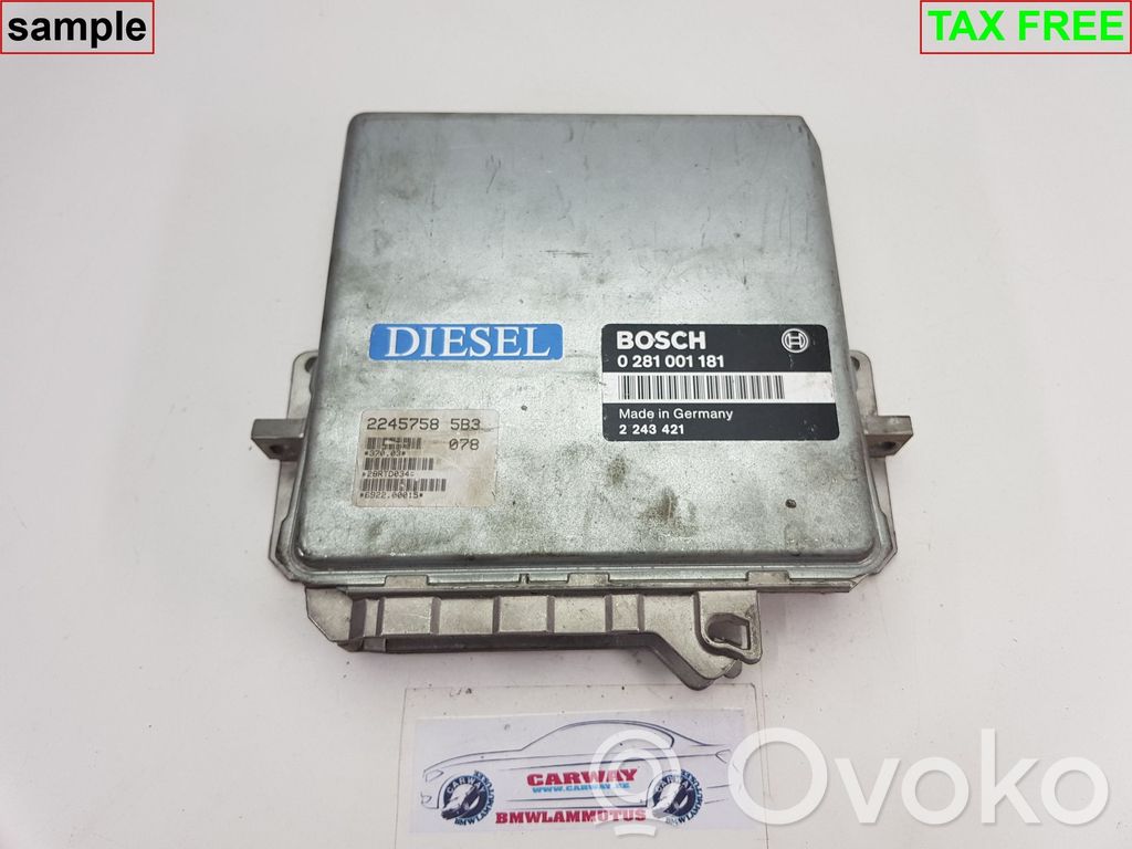 BMW 5 E34 Engine control unit/module 