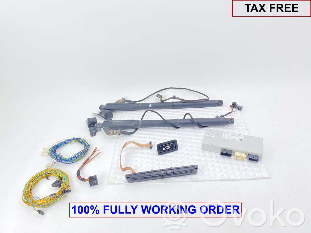 Tailgate/trunk/boot tension spring   7335274,7335274,61357335274,4887651,4887652,51244887651,51244887652,61319208218,9208218