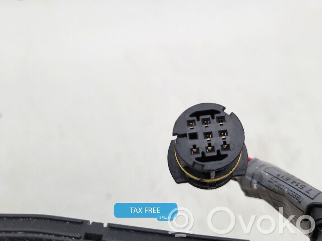BMW X5 E53 Fuel injector wires 