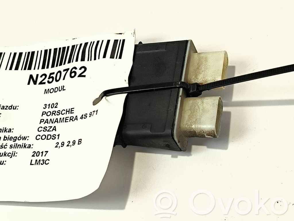 Porsche Panamera (971) Tailgate/trunk control unit/module 