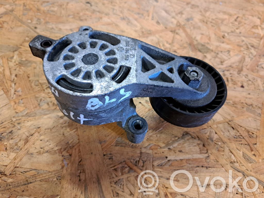 Audi A3 S3 8P Tensor de la correa del alternador 