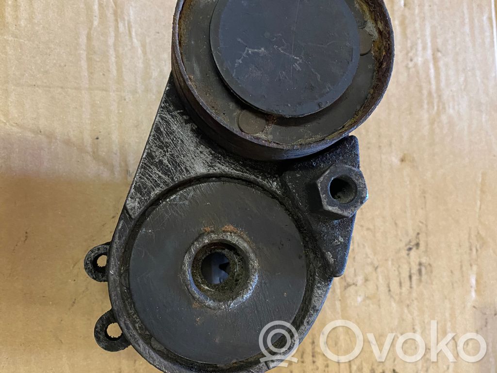 Audi A6 S6 C5 4B Napinacz paska wielorowkowego / Alternatora 