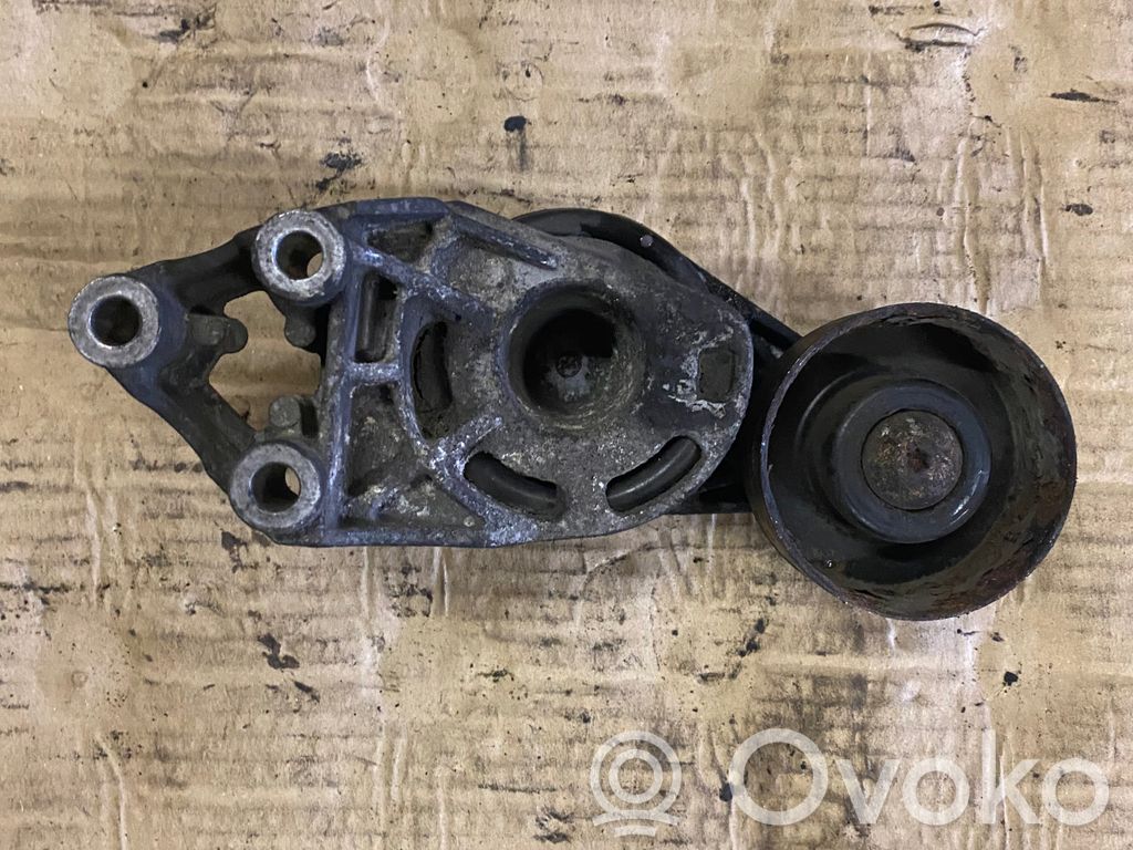 Skoda Fabia Mk2 (5J) Diržo įtempėjas 