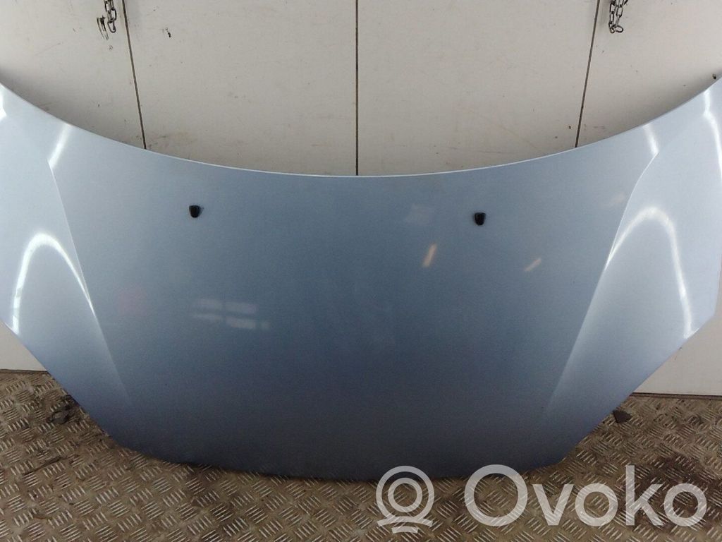 Motorhaube   6640007510