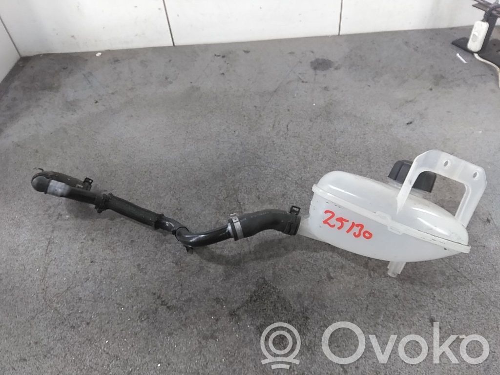 Renault Megane E-Tech Vas expansiune/rezervor lichid de răcire 