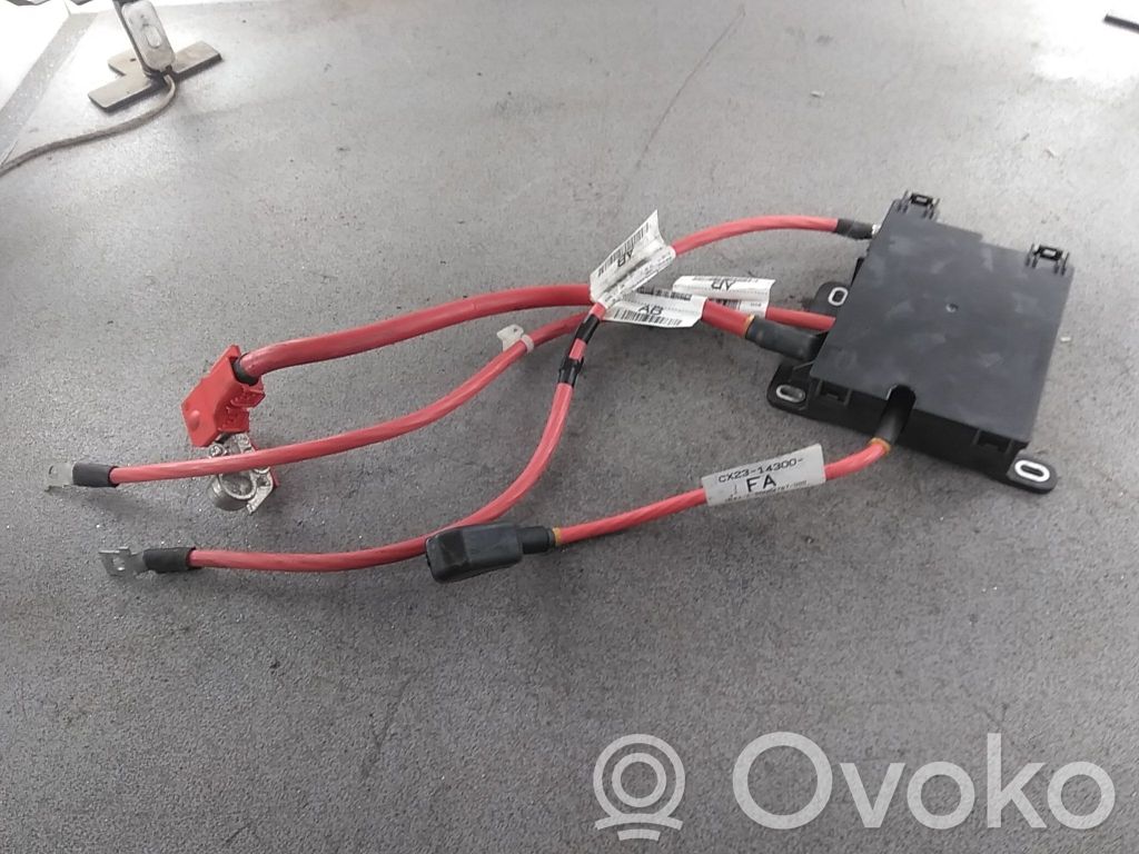 Módulo de fusible   CX2314A067AC,C2Z19678,C2Z18585,CX2314A067BB,CX2314F423AB