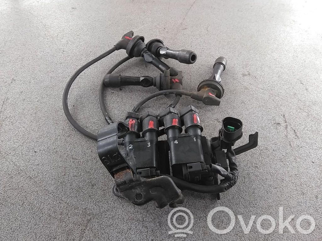 Hyundai i20 (PB PBT) Aukštos įtampos ritė "babyna" 