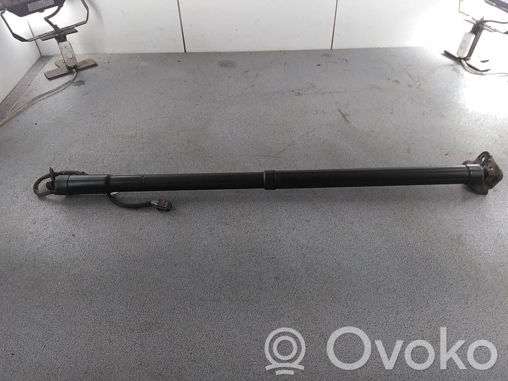 Tailgate/trunk strut/damper   2359184