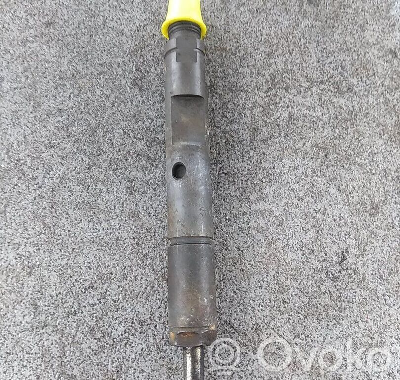 Land Rover Freelander Inyector de combustible 