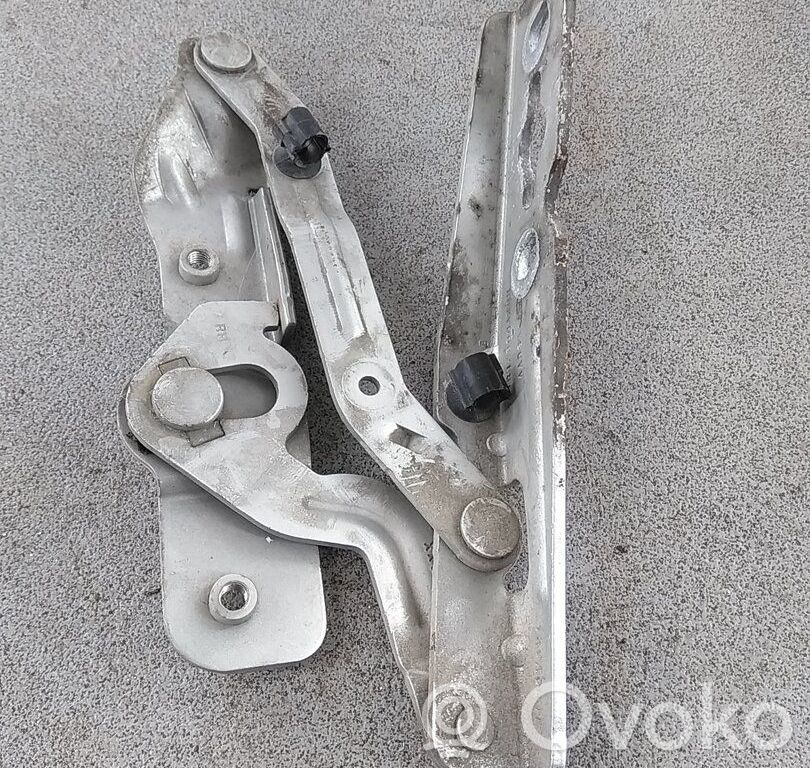 Ford Grand C-MAX Vyris (-iai) variklio dangčio 
