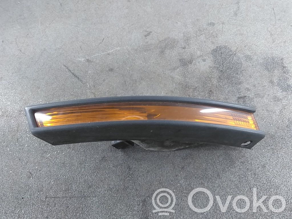 Volkswagen PASSAT B6 Front indicator light 