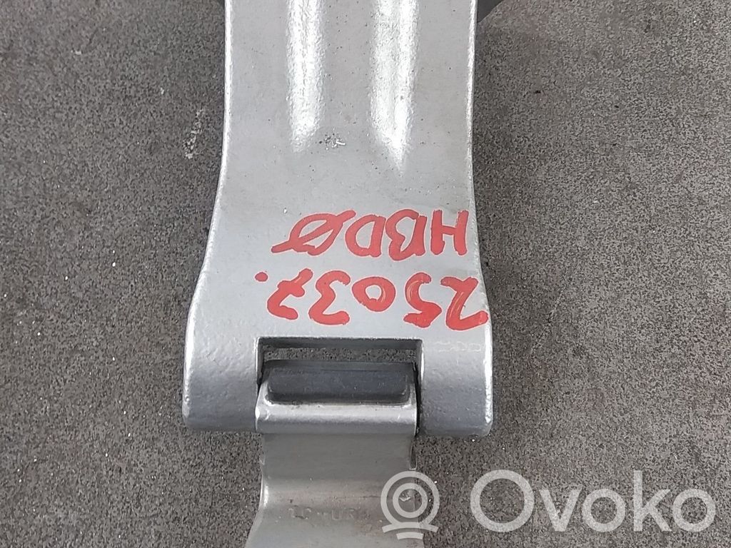 Ford Transit Custom Priekšpusē eņģu komplekts 