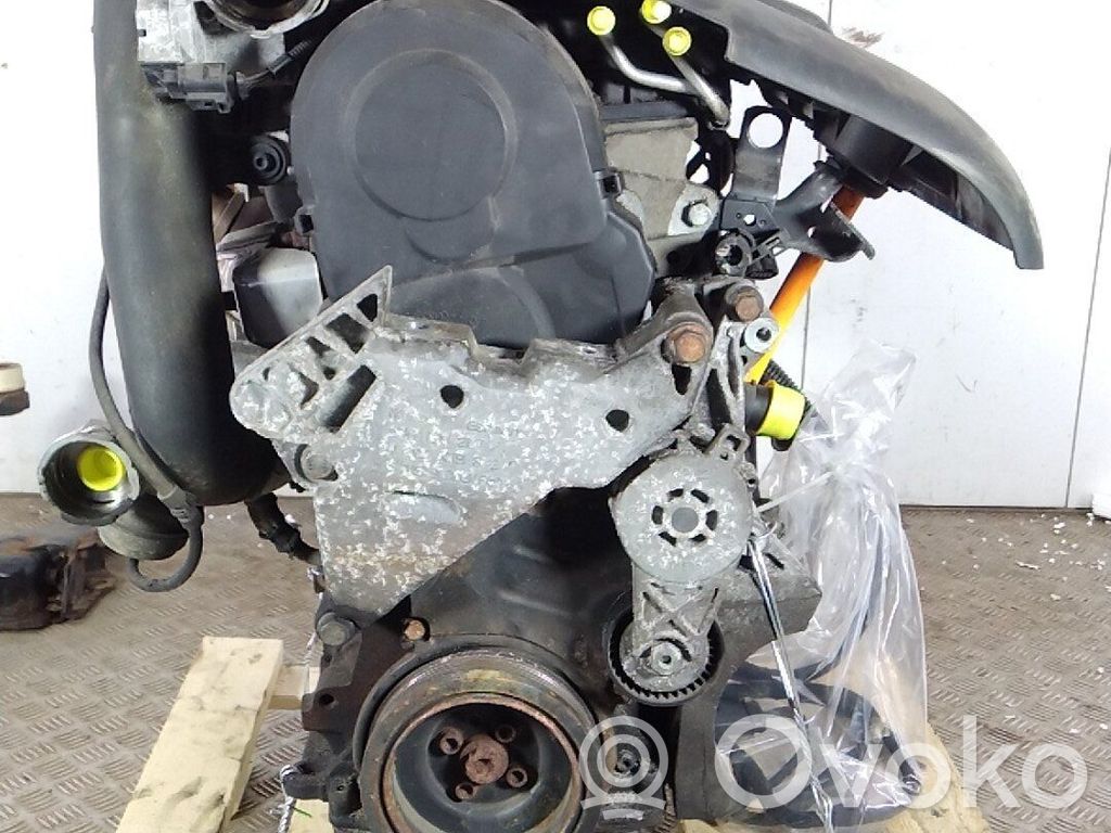 Skoda Octavia Mk2 (1Z) Motor 