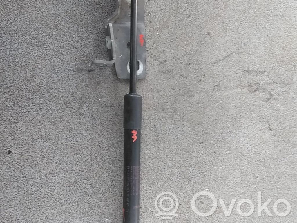 Land Rover Range Rover Sport L494 Dzinēja pārsega amortizators 