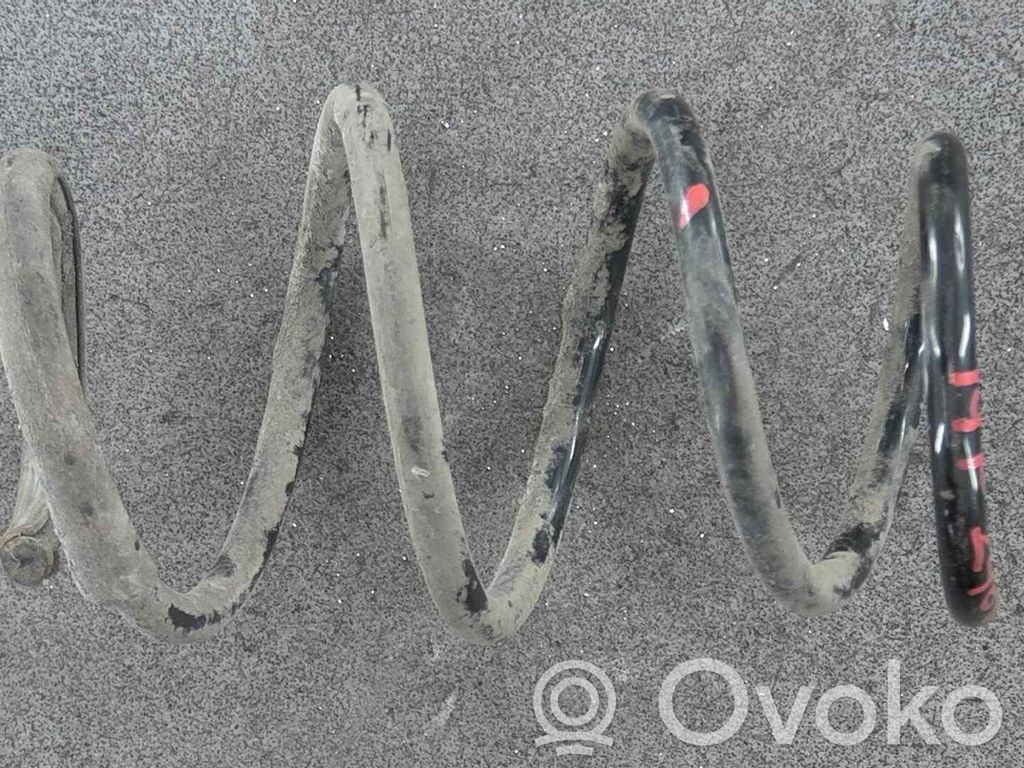 Front coil spring   540101633R