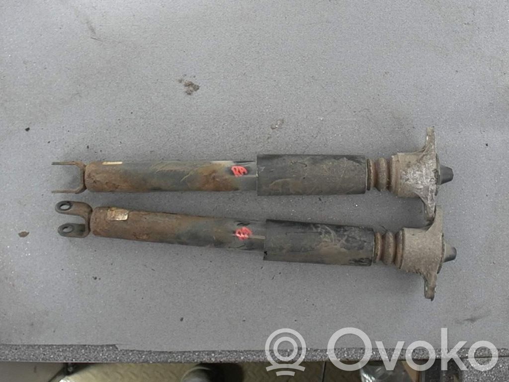 Stoßdämpfer hinten   2STK,55300A2950,55300A2020