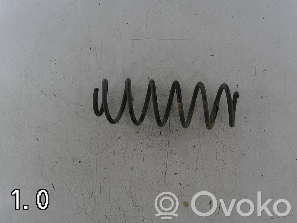 Rear coil spring   5102CZ