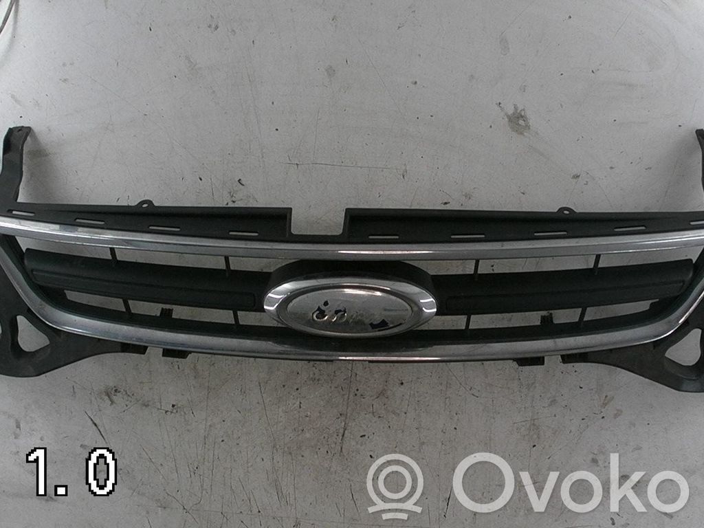 Front grill   1736164