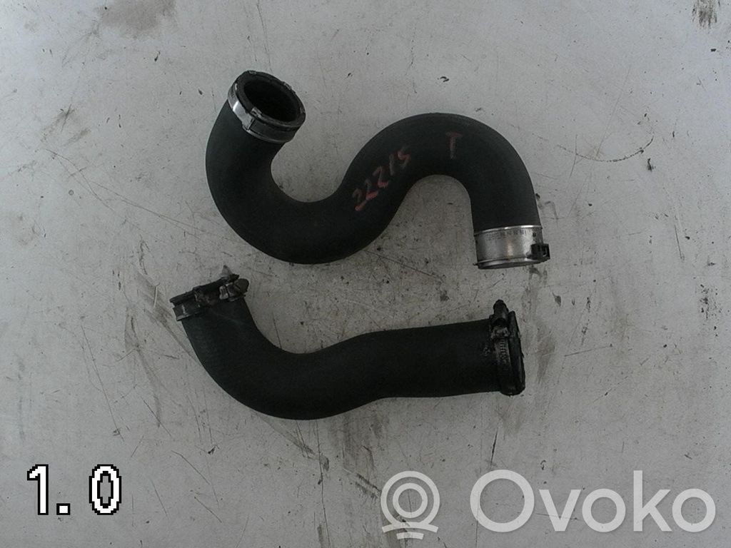 Peugeot Expert Intercooler hose/pipe 