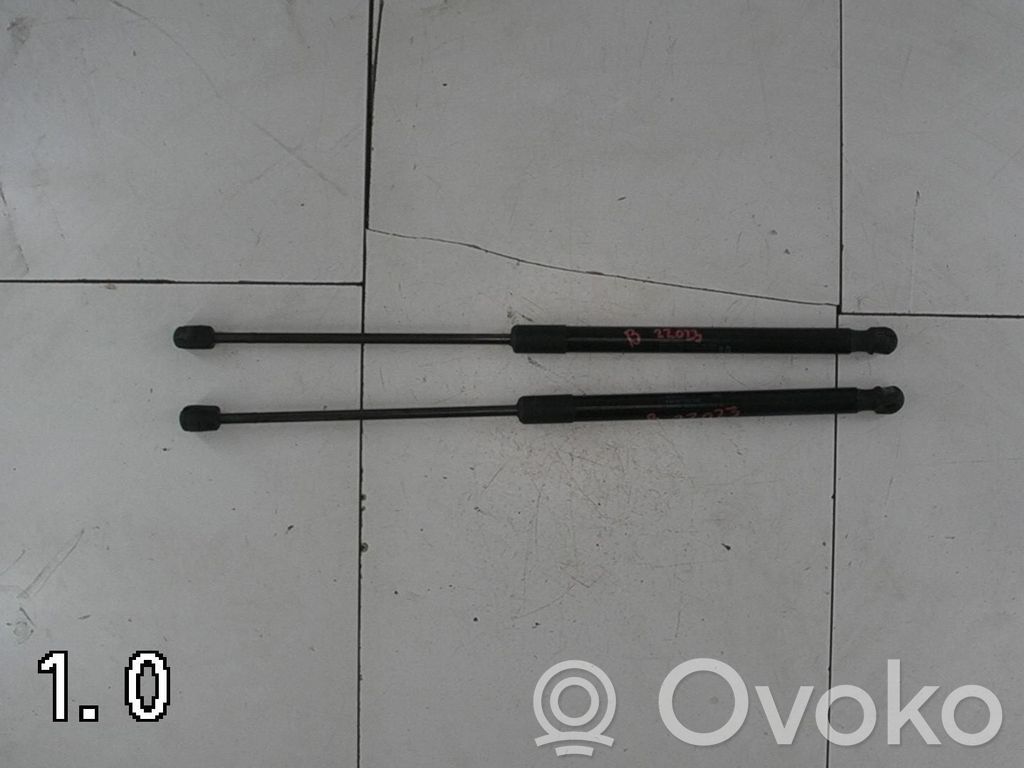Audi A6 S6 C7 4G Ammortizzatore portellone posteriore/bagagliaio
