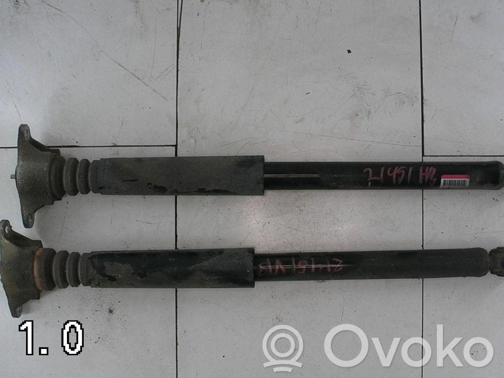 Galinis amortizatorius   2STK,DA6C28700E