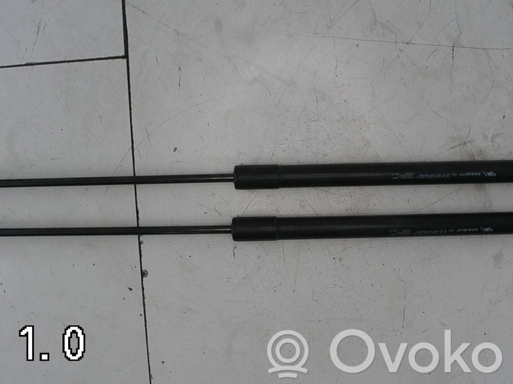 Tailgate/trunk strut/damper   2STK,904527457R