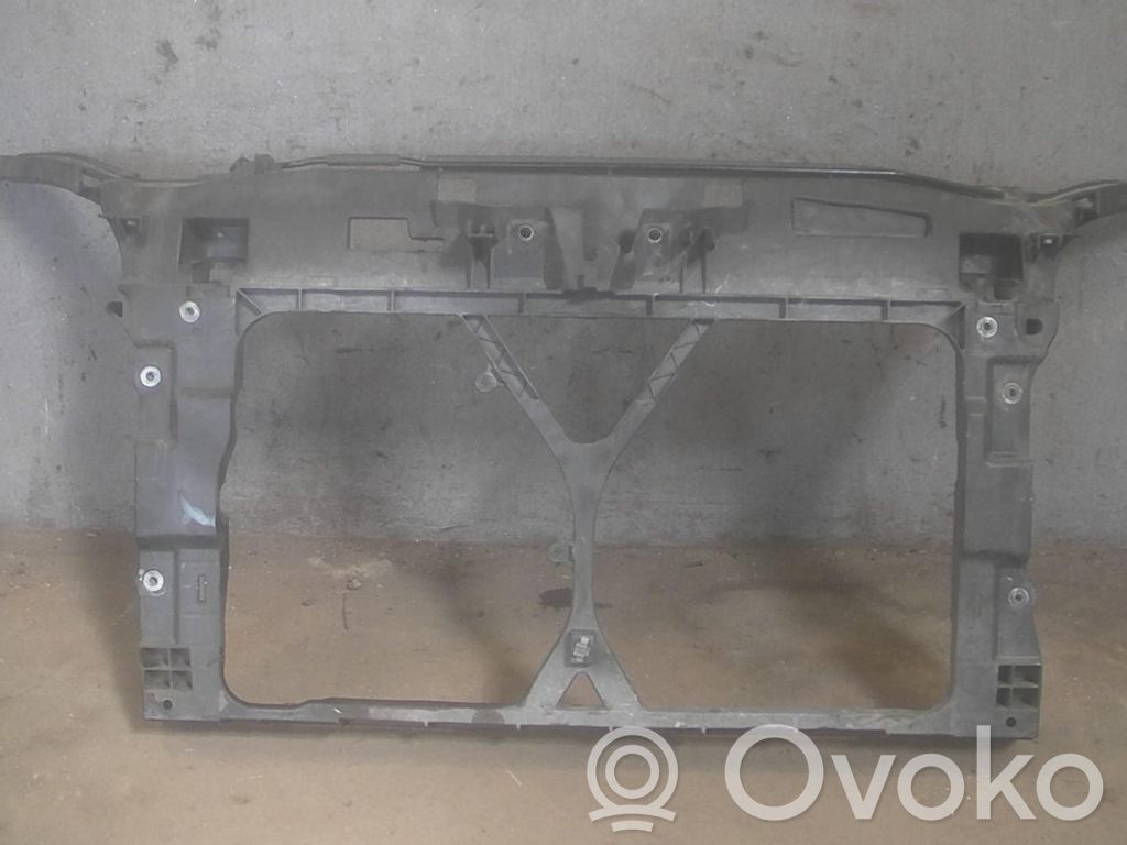 Radiatoru panelis   C23553110G