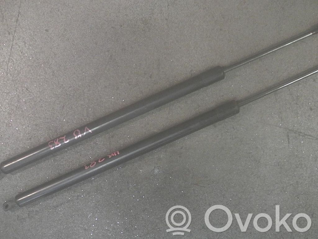 Volkswagen Transporter - Caravelle T5 Tailgate/trunk strut/damper 