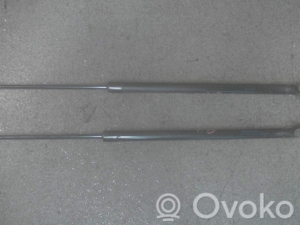 Nissan Note (E12) Tailgate/trunk strut/damper 