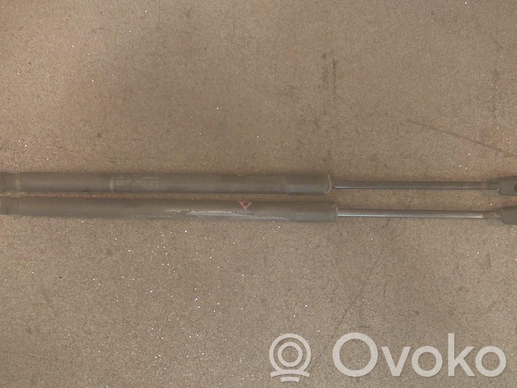Volkswagen Touran I Tailgate/trunk strut/damper 