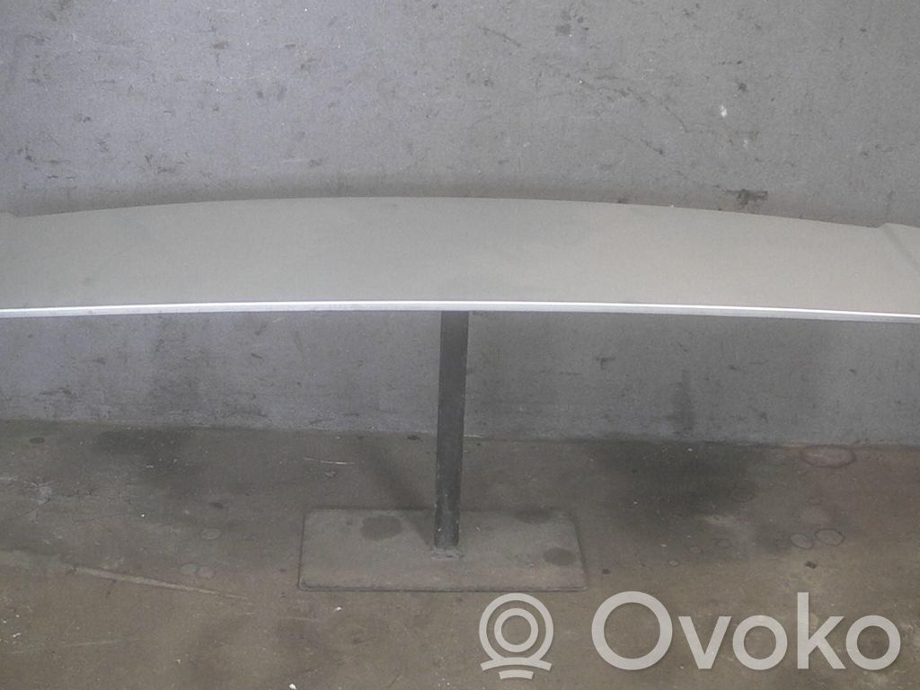 Becquet de coffre   51717025612