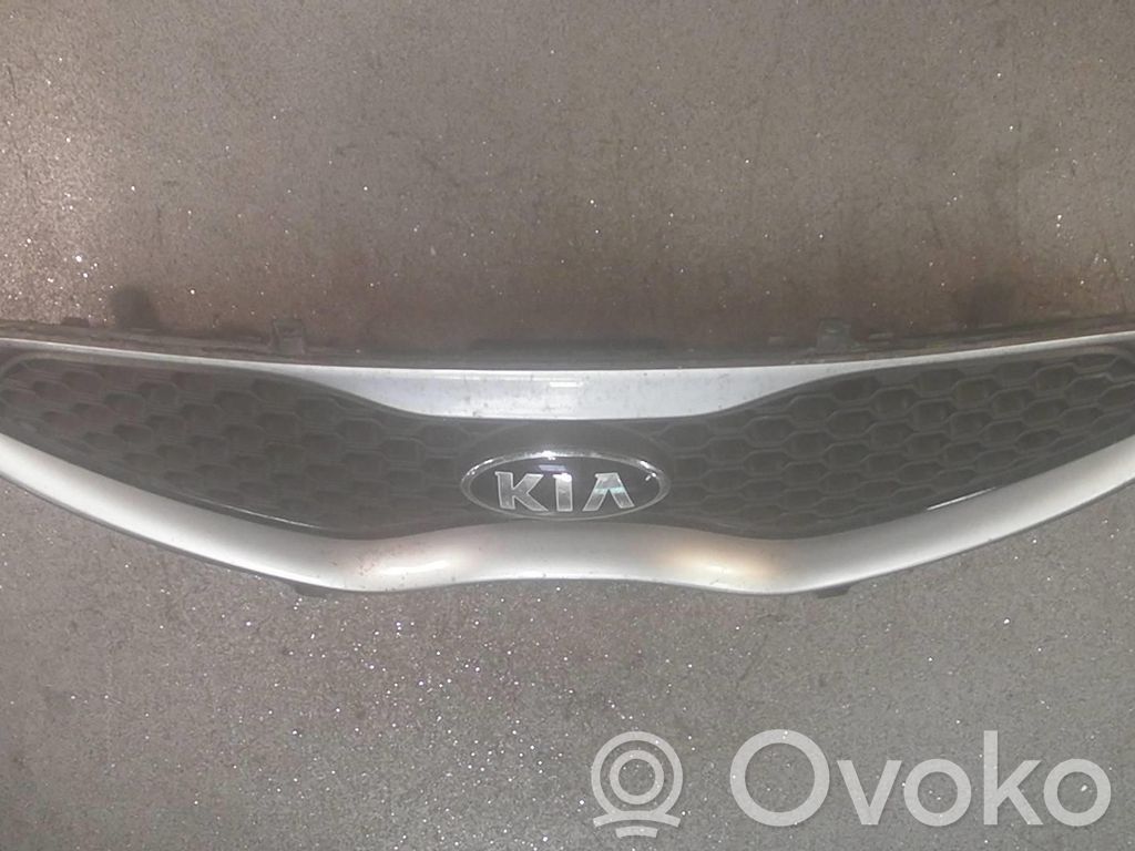 Front grill   863501Y301