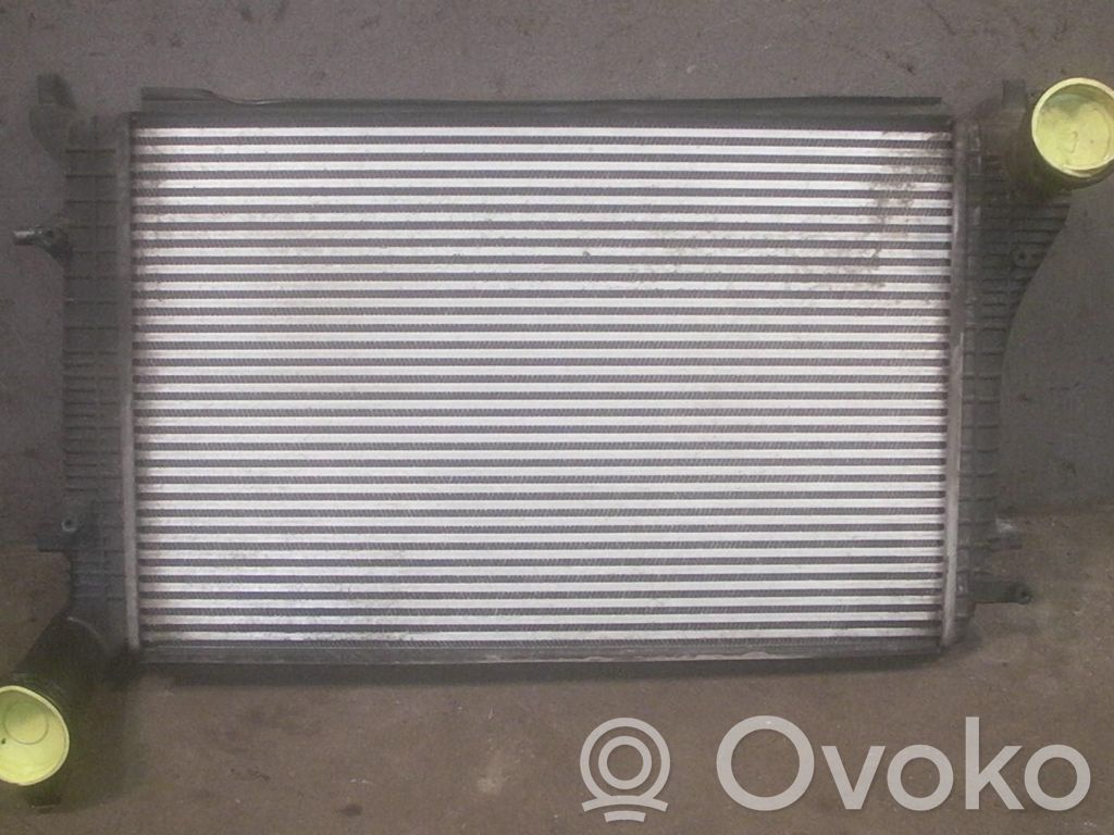 Skoda Octavia Mk2 (1Z) Interkūlerio radiatorius 