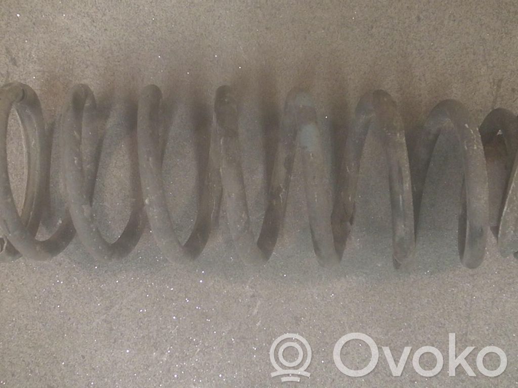 Rear coil spring   5102C2