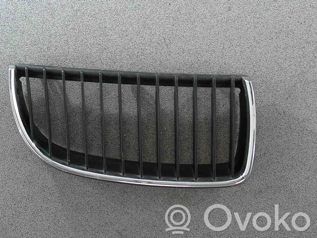 Kühlergrill   51137201968
