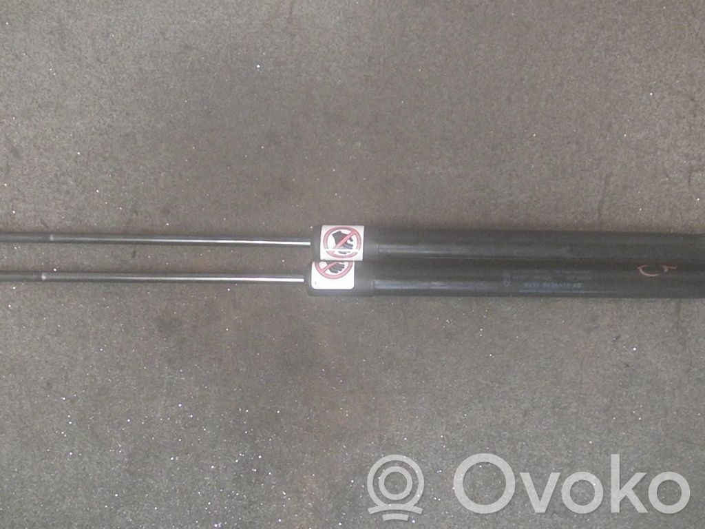 Tailgate/trunk strut/damper   2STK,1757865
