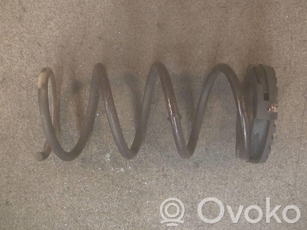 Muelle espiral trasero