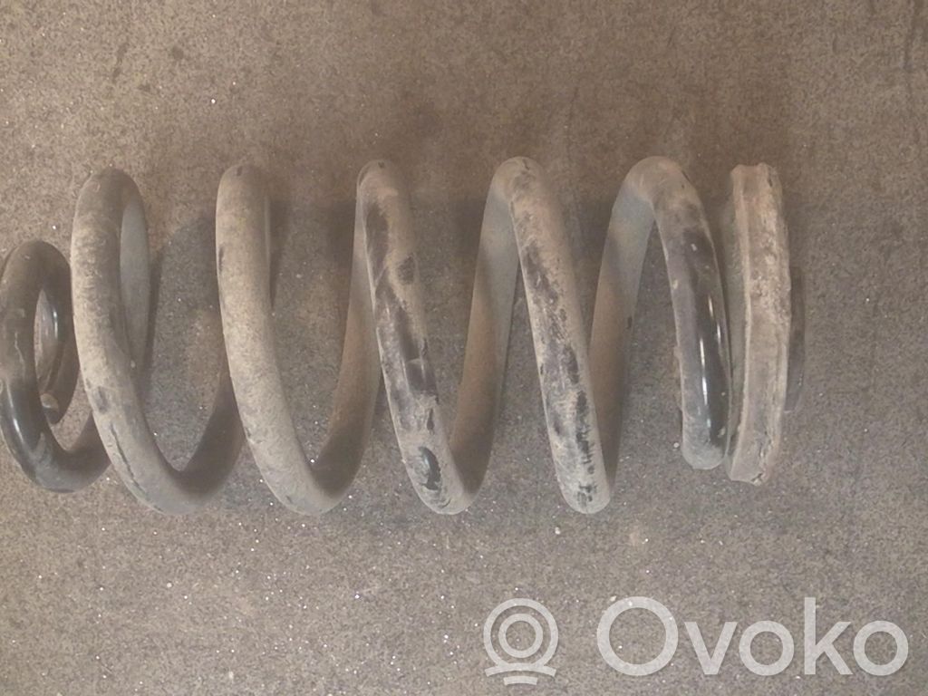 Muelle espiral trasero