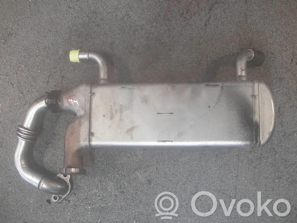 Volkswagen Crafter Refrigerador de la válvula EGR 