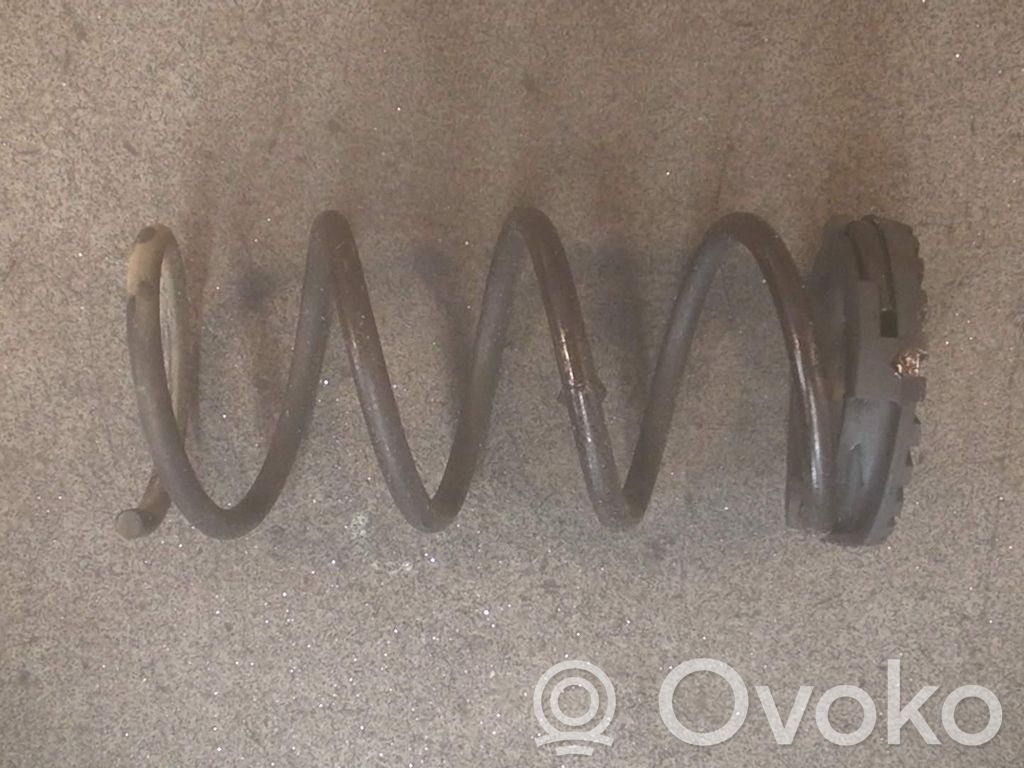 Muelle espiral trasero