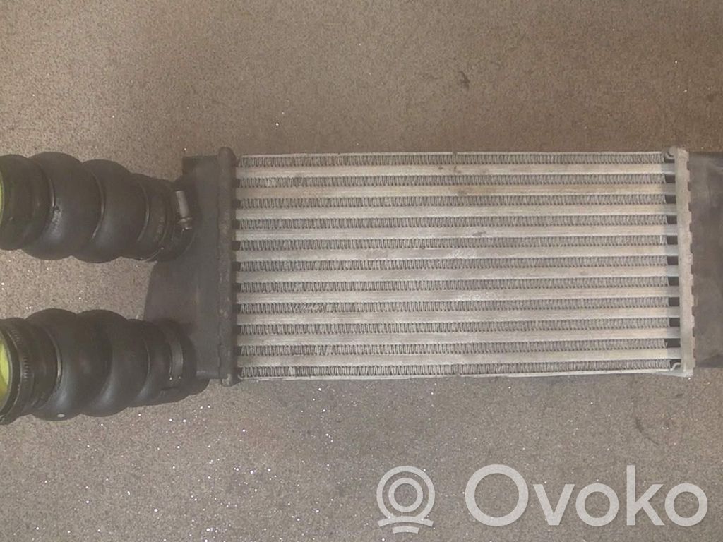 Chłodnica powietrza doładowującego / Intercooler   876923JK
