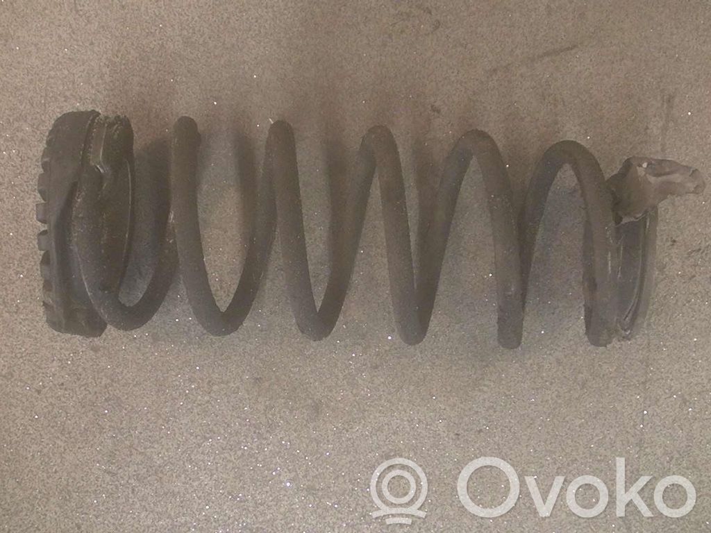 Muelle espiral trasero
