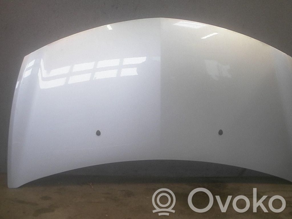 Motorhaube