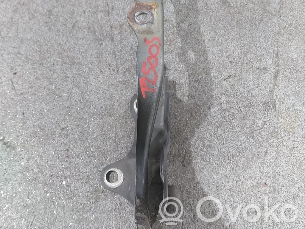 KIA Ceed Dzinēja pārsega eņģe (-es) 