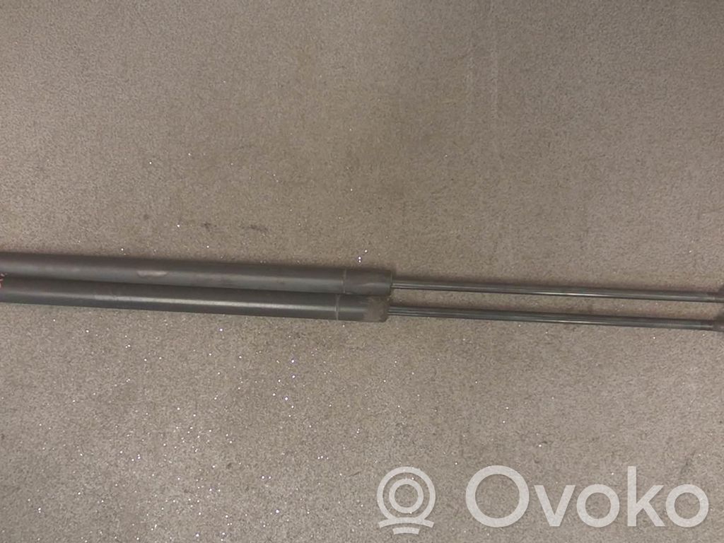 Volkswagen New Beetle Ammortizzatore portellone posteriore/bagagliaio