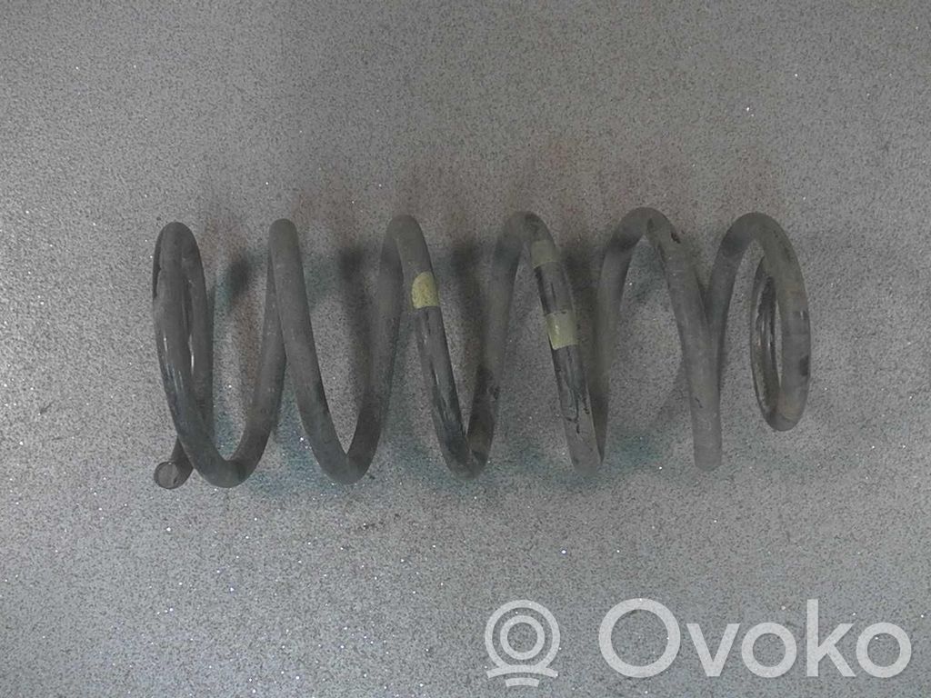 Rear coil spring