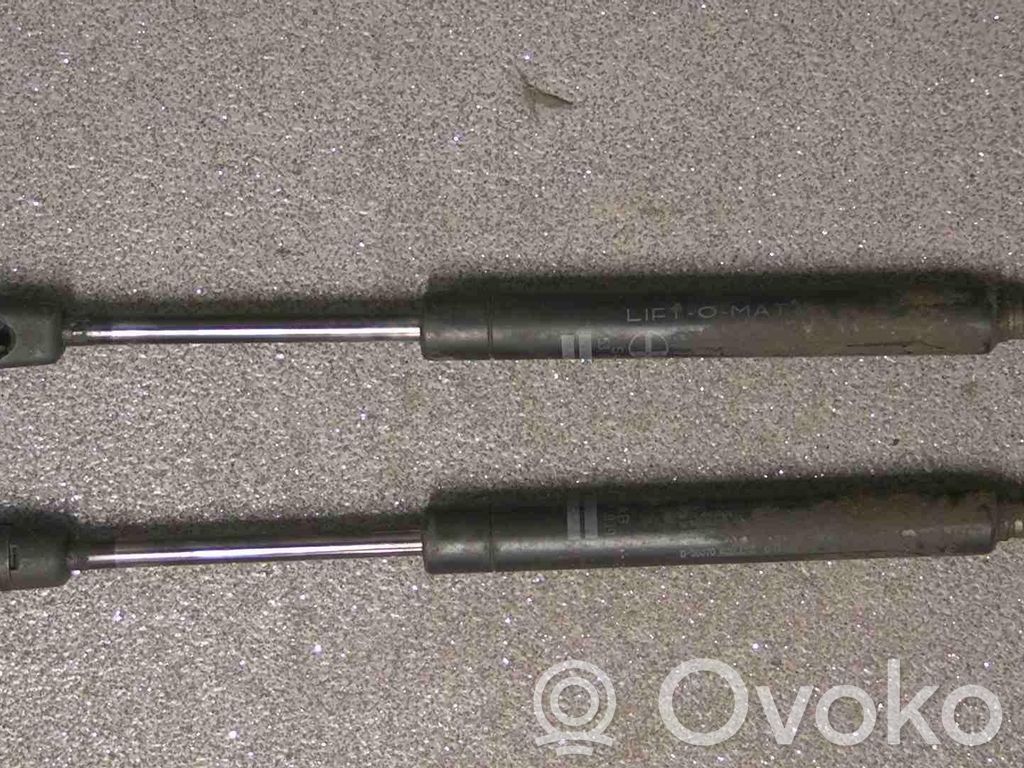 Tailgate/trunk strut/damper